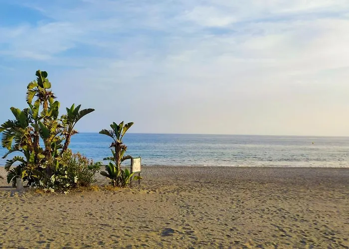 Laguna Paradise - La Torre